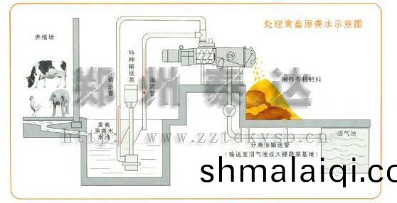 豬(zhu)糞(fen)脫(tuo)水機
