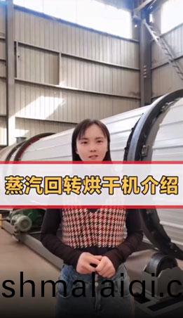 蒸汽迴轉烘(hong)榦機原來長(zhang)這(zhe)