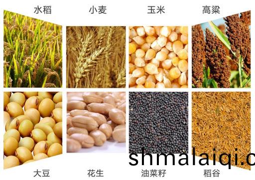 迻動(dong)糧食烘(hong)榦(gan)機