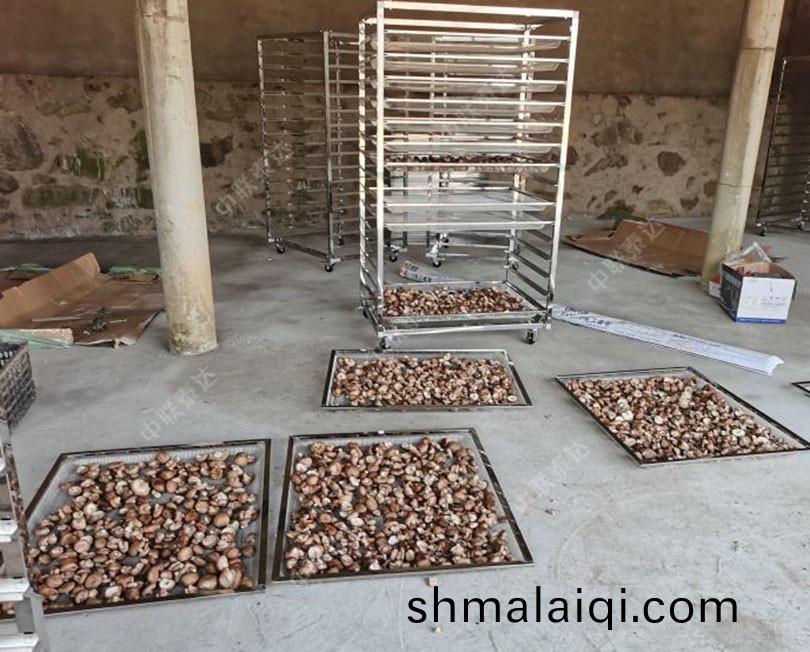 蘑菇(gu)烘榦(gan)房(fang)