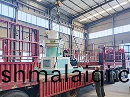 時産(chan)1噸環(huan)糢(mo)造粒(li)機髮徃雲(yun)南(nan)